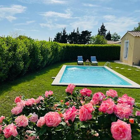 Un Coin Tropical En Provence ! Hotel LʼIsle-sur-la-Sorgue Екстериор снимка