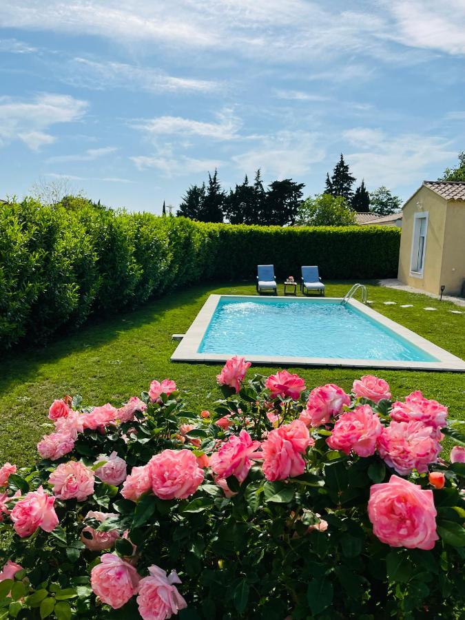Un Coin Tropical En Provence ! Hotel LʼIsle-sur-la-Sorgue Екстериор снимка