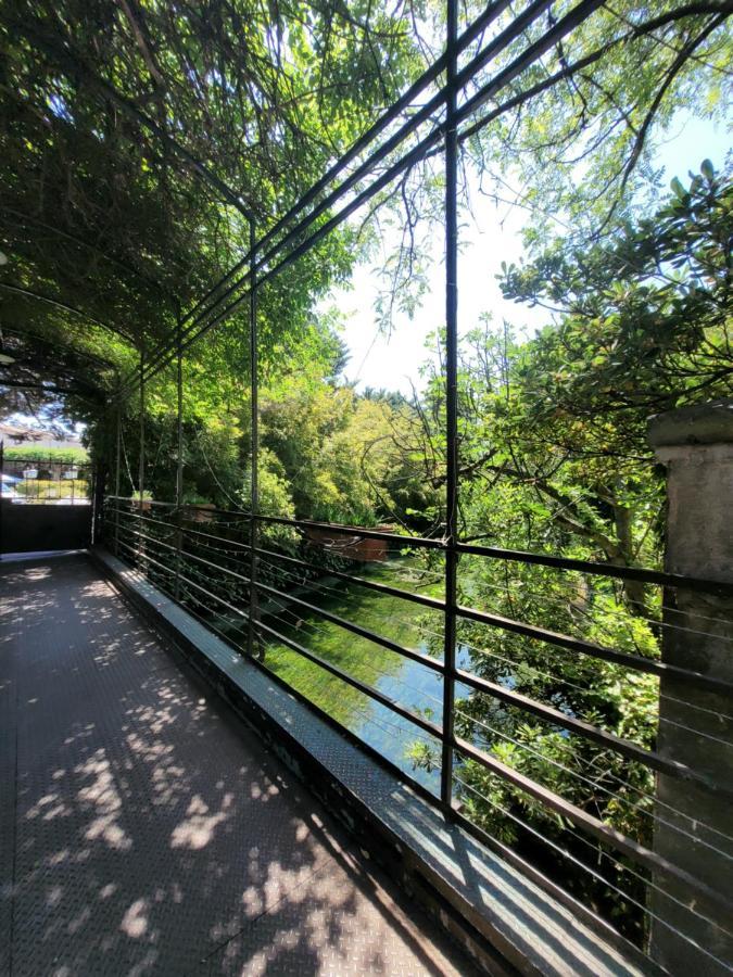Un Coin Tropical En Provence ! Hotel LʼIsle-sur-la-Sorgue Екстериор снимка